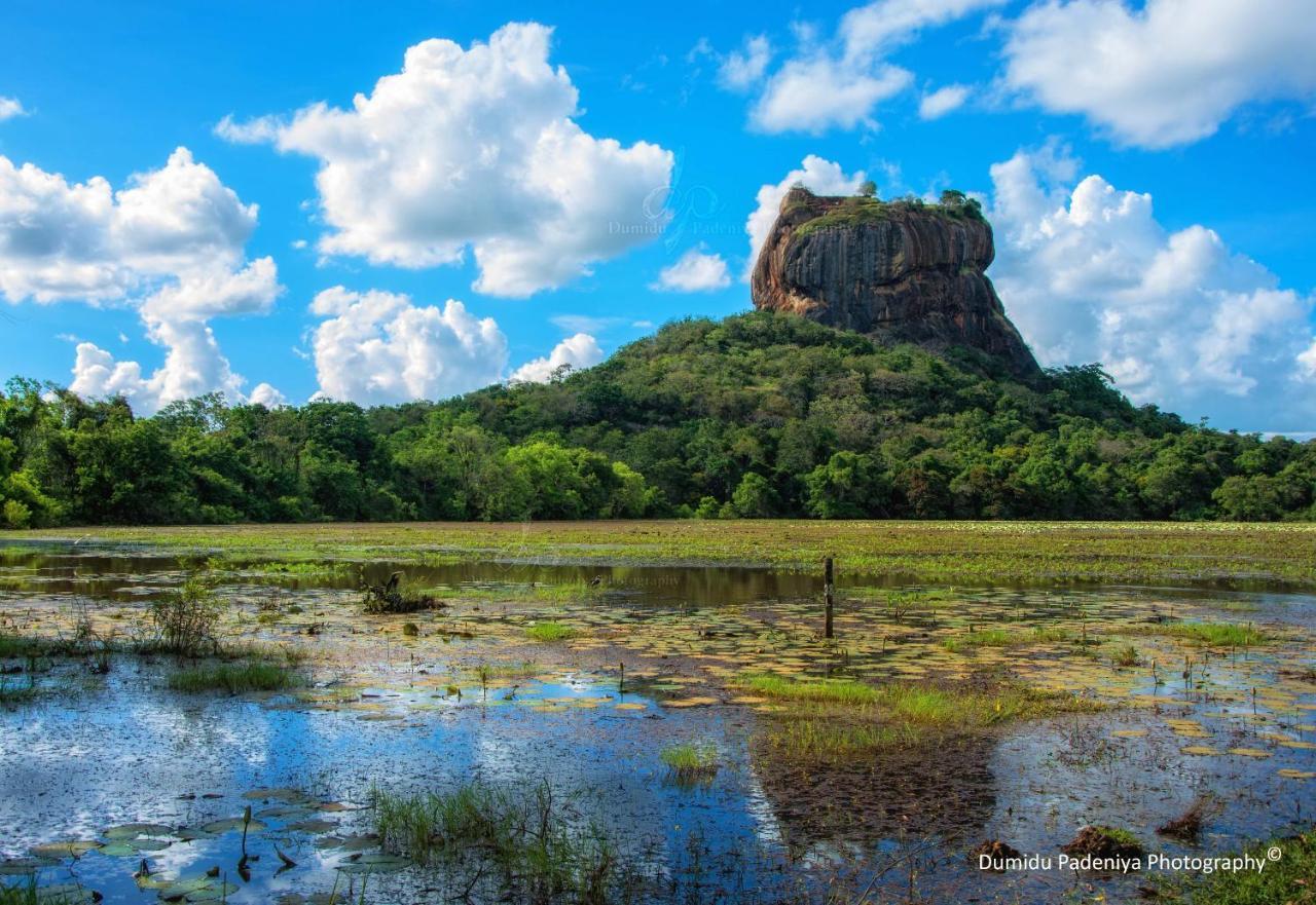 Simoya Nature Park Dambulla Buitenkant foto